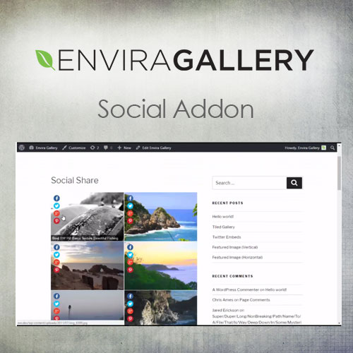 Envira Gallery - Social Addon